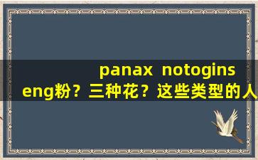 panax  notoginseng粉？三种花？这些类型的人离Sanqi距离更远